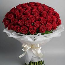 Букет 101 Красная роза Блэк Мэджик в Поселок дома отдыха Успенское
