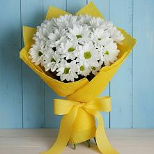 Букет цветов из:  Хризантемы в Поселок дома отдыха Успенское