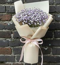 Букет цветов из:  Гипсофила в Поселок дома отдыха Успенское