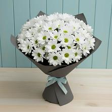 Букет цветов из:  Хризантемы #REPLACE_PRED# Поселок дома отдыха Успенское