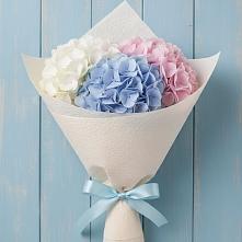 Букет цветов из:  Гортензия #REPLACE_PRED# Поселок дома отдыха Успенское