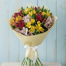 Букет цветов из:  Альстромерии в Поселок дома отдыха Успенское