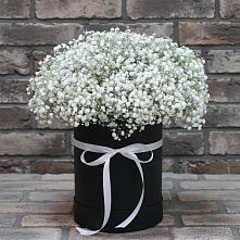 Цветочная композиция из Гипсофила в шляпной коробке в Поселок дома отдыха Успенское