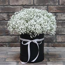 Цветочная композиция из Гипсофила в шляпной коробке в Поселок дома отдыха Успенское