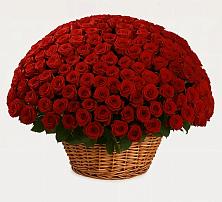 Премиум букет из: Розы #REPLACE_PRED# Поселок дома отдыха Успенское