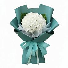 Букет цветов из:  Гортензия #REPLACE_PRED# Поселок дома отдыха Успенское
